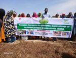 Maradi : une caravane de sensibilisation pour promouvoir les bonnes pratiques de production du souchet.