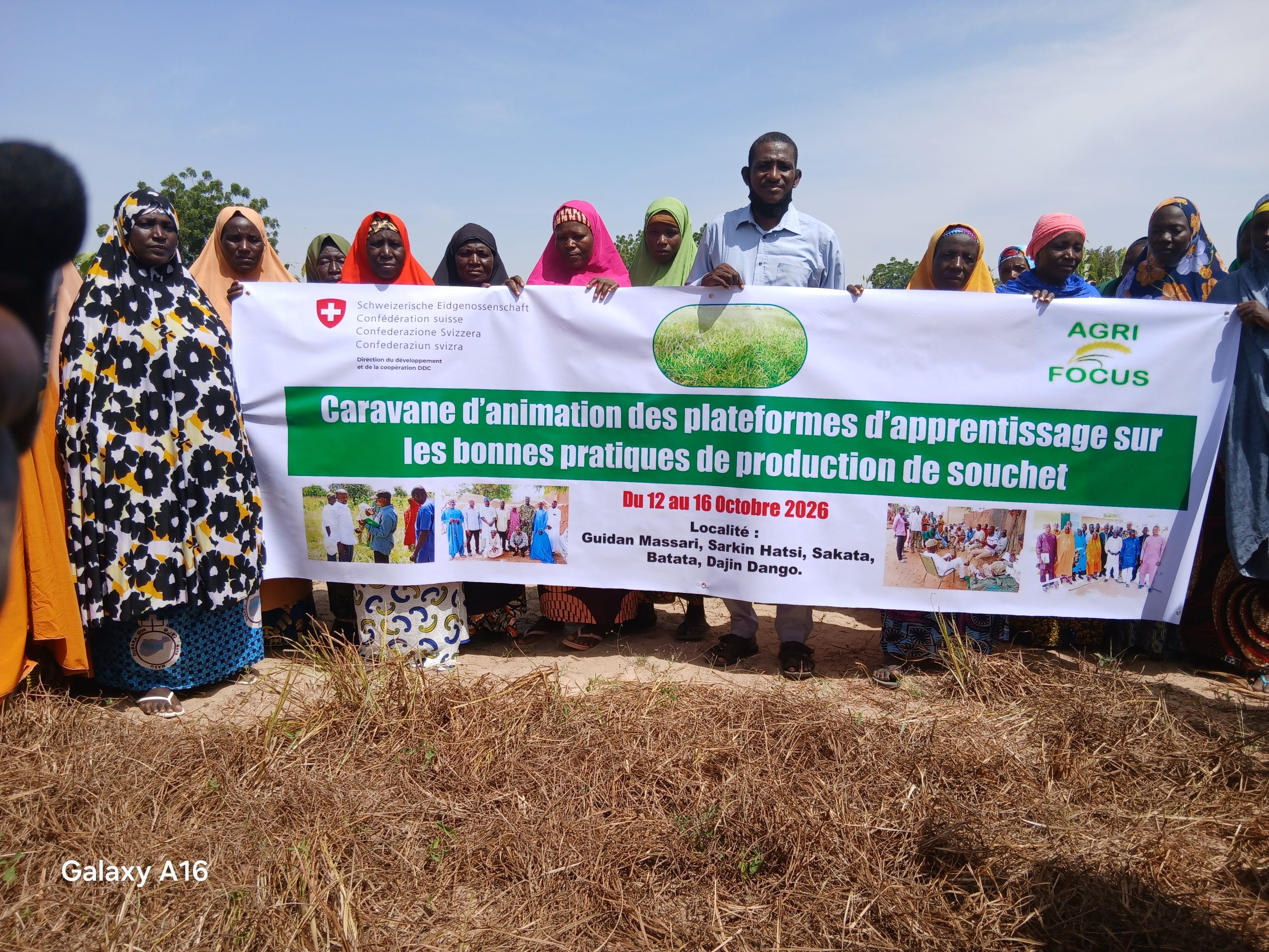 Maradi : une caravane de sensibilisation pour promouvoir les bonnes pratiques de production du souchet. Maradi : une caravane de sensibilisation pour promouvoir les bonnes pratiques de production du souchet.